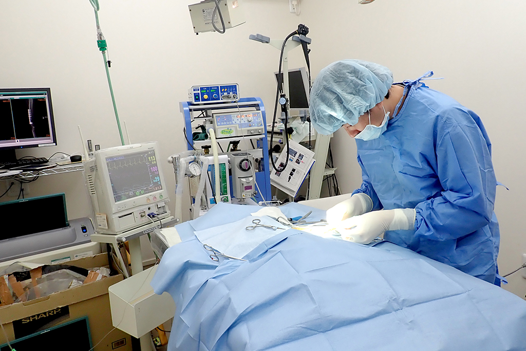 守谷市百合ヶ丘・ゆりがおか動物病院