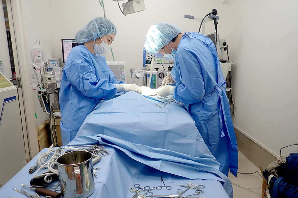 守谷市百合ヶ丘・ゆりがおか動物病院