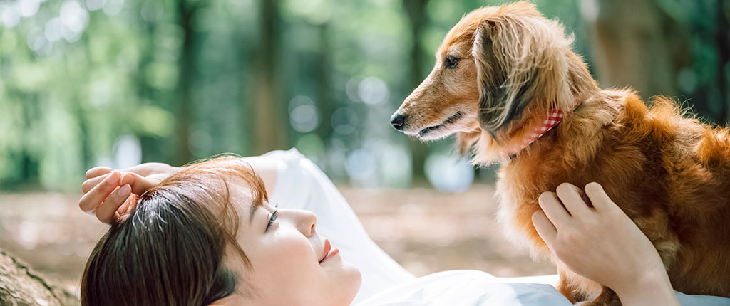 守谷市百合ヶ丘・ゆりがおか動物病院