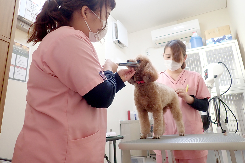 守谷市百合ヶ丘・ゆりがおか動物病院