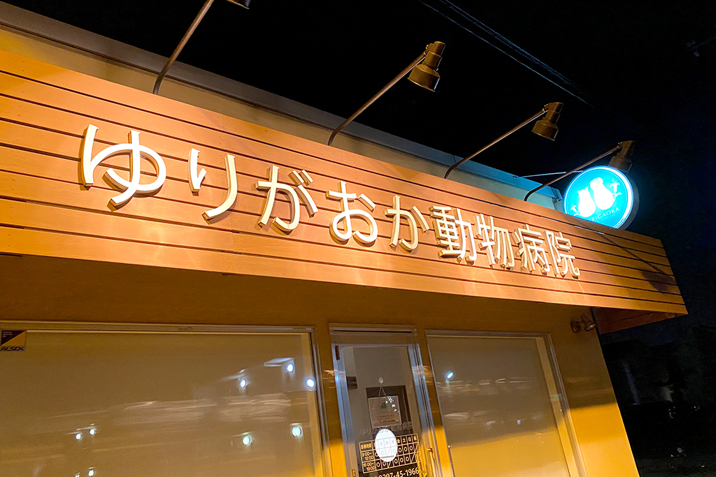 守谷市百合ヶ丘・ゆりがおか動物病院