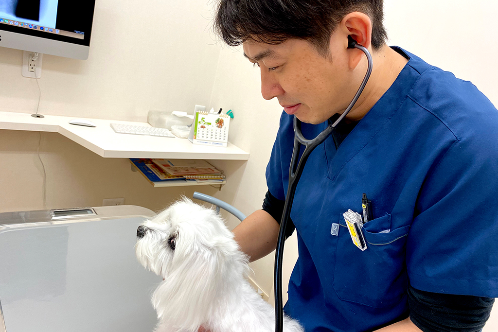 守谷市百合ヶ丘・ゆりがおか動物病院