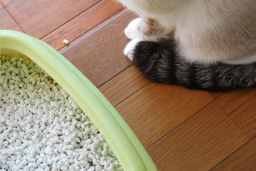 守谷市百合ヶ丘・ゆりがおか動物病院